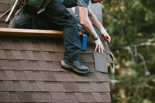 Professional Roofing Contractor in Palmhurst, TX